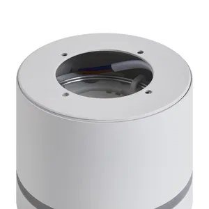 Потолочный светильник Voltega VGL7191DL-01W