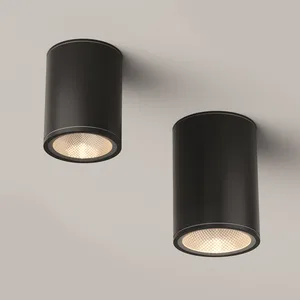 Уличный потолочный светильник Outdoor O306CL-L12GF