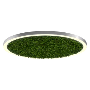 Модульный светильник HOKASU Halo Moss (кольцо со мхом)
