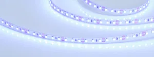 Лента RT-A120-8mm 12V Blue (9.6 W/m, IP20, 5m) (Arlight, 9.6 Вт/м, IP20)