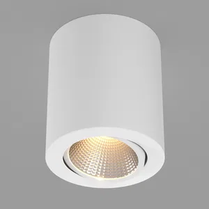 Светильник SP-FOCUS-R120-16W Warm White (Arlight, IP20 Металл, 3 года)