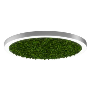 Модульный светильник HOKASU Halo Moss (кольцо со мхом)