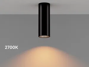 Светильник накладной HOKASU Tube (85-160/ral9003 – 40w/2798/24deg)