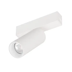 Светильник MAG-SPOT-25-R90-9W Day4000 (WH, 30 deg, 24V) (Arlight, IP20 Металл, 5 лет)