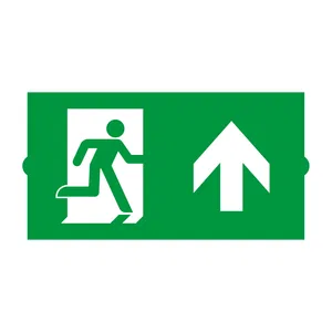 Пиктограмма EMGP-DIRECT-UP (Вверх) (Arlight, Пластик)