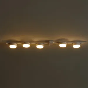 Потолочный светильник Freya FR5182CL-05W