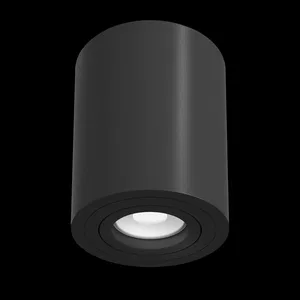 Потолочный светильник Technical C016CL-01B