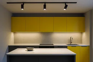 Ray Spot Aydınlatma ile Modern Ev Dekorasyonu: İpuçları ve Fikirler