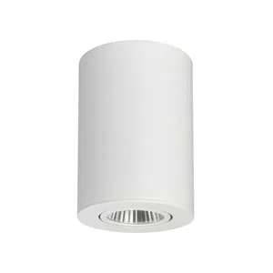 Светильник SP-FOCUS-R120-16W Warm White (Arlight, IP20 Металл, 3 года)
