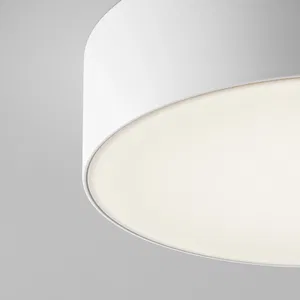 Уличный потолочный светильник Outdoor O431CL-L30W4K