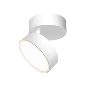 Потолочный светильник Technical C024CL-L12W3K