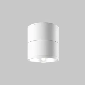 Уличный потолочный светильник Outdoor O310CL-L12W3K