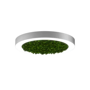 Модульный светильник HOKASU Halo Moss (кольцо со мхом)