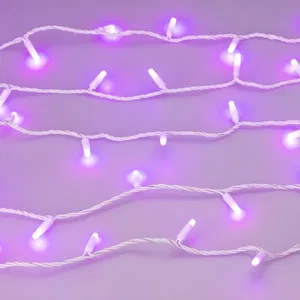 Светодиодная гирлянда ARD-STRING-CLASSIC-10000-WHITE-100LED-MILK-LIVE RGB-DMX (24V, 10W) (Ardecoled, IP65, 1 год)