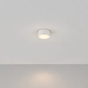 Потолочный светильник Technical C032CL-12W3K-RD-W
