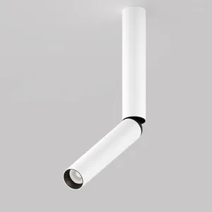 Потолочный светильник Technical C142CL-6W4K-W