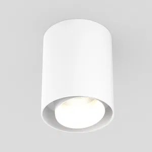 Светильник SP-FOCUS-R132-24W Warm3000 (WH, 50 deg, 230V) (Arlight, IP54 Металл, 5 лет)