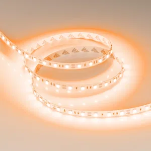 Лента RT-B60-10mm 12V Orange (14.4 W/m, IP20, 5060, 5m) (Arlight, Открытый)