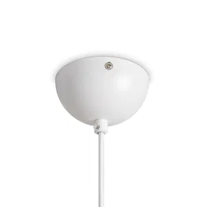 Подвесной светильник Freya FR5509PL-01W