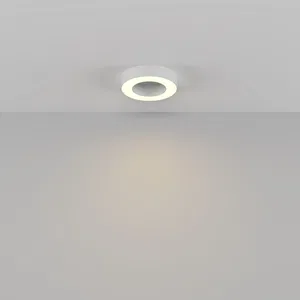 Потолочный светильник Technical C093CL-24W3K-W