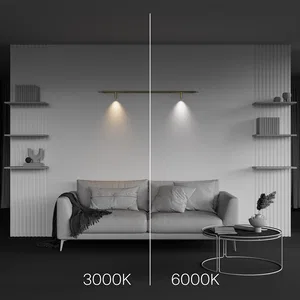 Светильник Technical C102CL-3W3-6K-BS