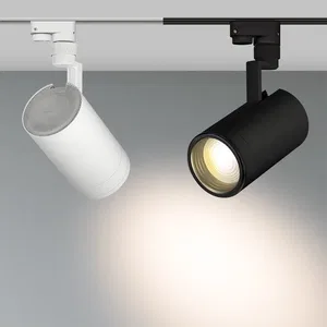 Светильник LGD-ZEUS-2TR-R100-30W White6000 (WH, 20-60 deg) (Arlight, IP20 Металл, 3 года)
