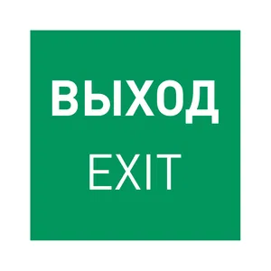 Пиктограмма EMGP-MARK-EXIT-FLAG (Выход) (Arlight, Пластик)