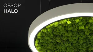 Модульный светильник HOKASU Halo Moss (кольцо со мхом)