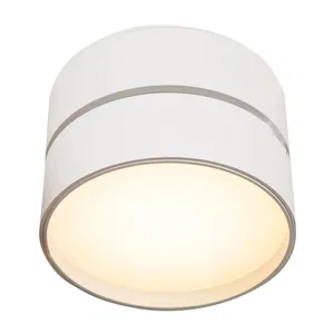 Потолочный светильник Technical C024CL-12W3K-B-1