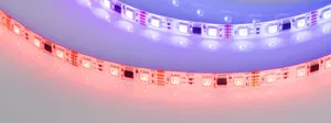 Лента герметичная DMX-SE-B60-10mm 12V RGB-PX3 (14 W/m, IP65, 5060, 5m) (Arlight, -)