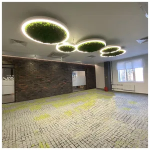 Модульный светильник HOKASU Halo Moss (кольцо со мхом)