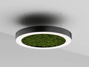 Модульный светильник HOKASU Halo Moss (кольцо со мхом)