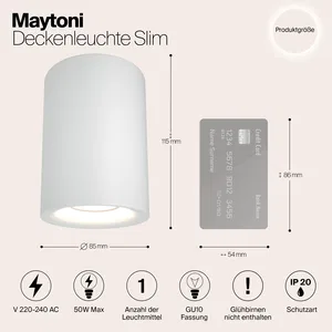 Потолочный светильник Technical C012CL-01W