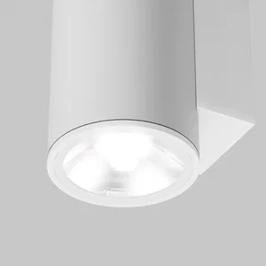 Уличный настенный светильник Outdoor O303WL-L10W3K