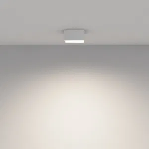 Потолочный светильник Technical C032CL-12W4K-SQ-W