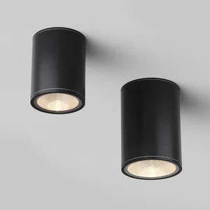 Уличный потолочный светильник Outdoor O306CL-L7GF