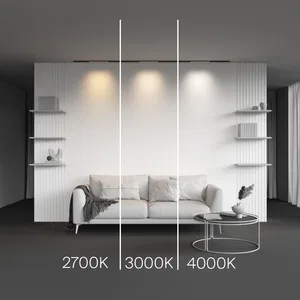 Трековый светильник Technical TR190-1 (5мм LEVITY)