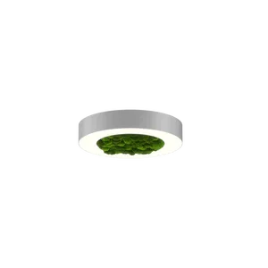 Модульный светильник HOKASU Halo Moss (кольцо со мхом)
