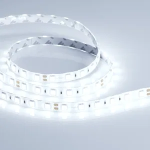 Лента RTW 2-5000SE 24V Cool 2x (5060, 300 LED, LUX) (Arlight, 14.4 Вт/м, IP65)