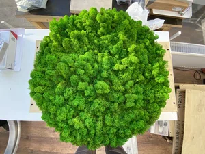 Светильник HOKASU Halo Moss (RAL9003/D625/LT70 — 3K/59W/120deg)