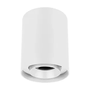 Светильник SP-FOCUS-R110-18W Day4000 (WH, 24 deg, 230V) (Arlight, IP54 Металл, 5 лет)