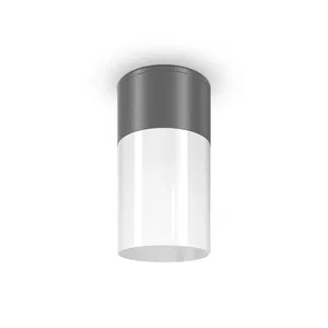Уличный потолочный светильник Outdoor O418CL-01GR