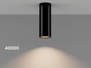 Светильник накладной HOKASU Tube (85-160/ral9003 – 40w/2798/24deg)