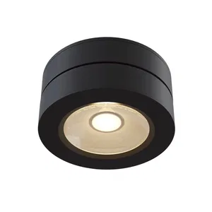 Потолочный светильник Technical C022CL-L7B4K