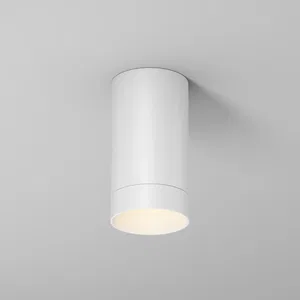 Уличный потолочный светильник Outdoor O500CL-L5W3K