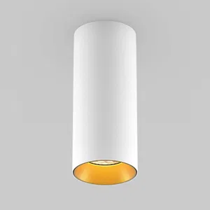 Светильник SP-POLO-SURFACE-R65-8W Day4000 (WH-GD, 40 deg) (Arlight, IP20 Металл, 5 лет)