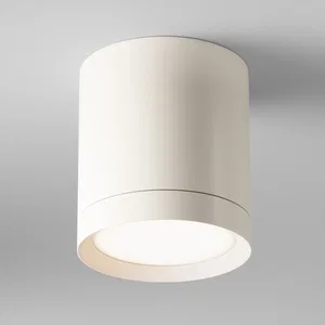 Потолочный светильник Technical C086CM-GX53-MRD-W