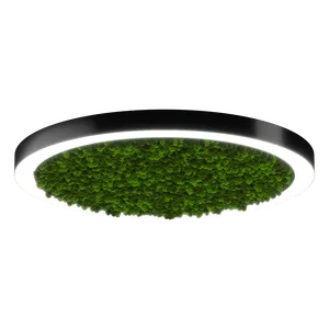 Модульный светильник HOKASU Halo Moss (кольцо со мхом)