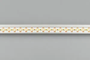 Лента RT 2-5000 24V Cx2 White6000 10mm (2835, 168 LED/m, LUX) (Arlight, 17 Вт/м, IP20)
