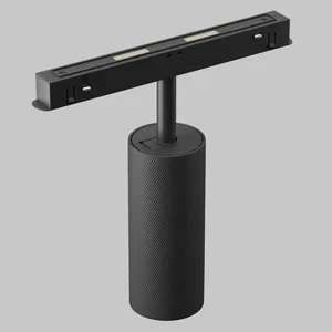 Трековый светильник Technical TR097-2-12W3K-M-BMG